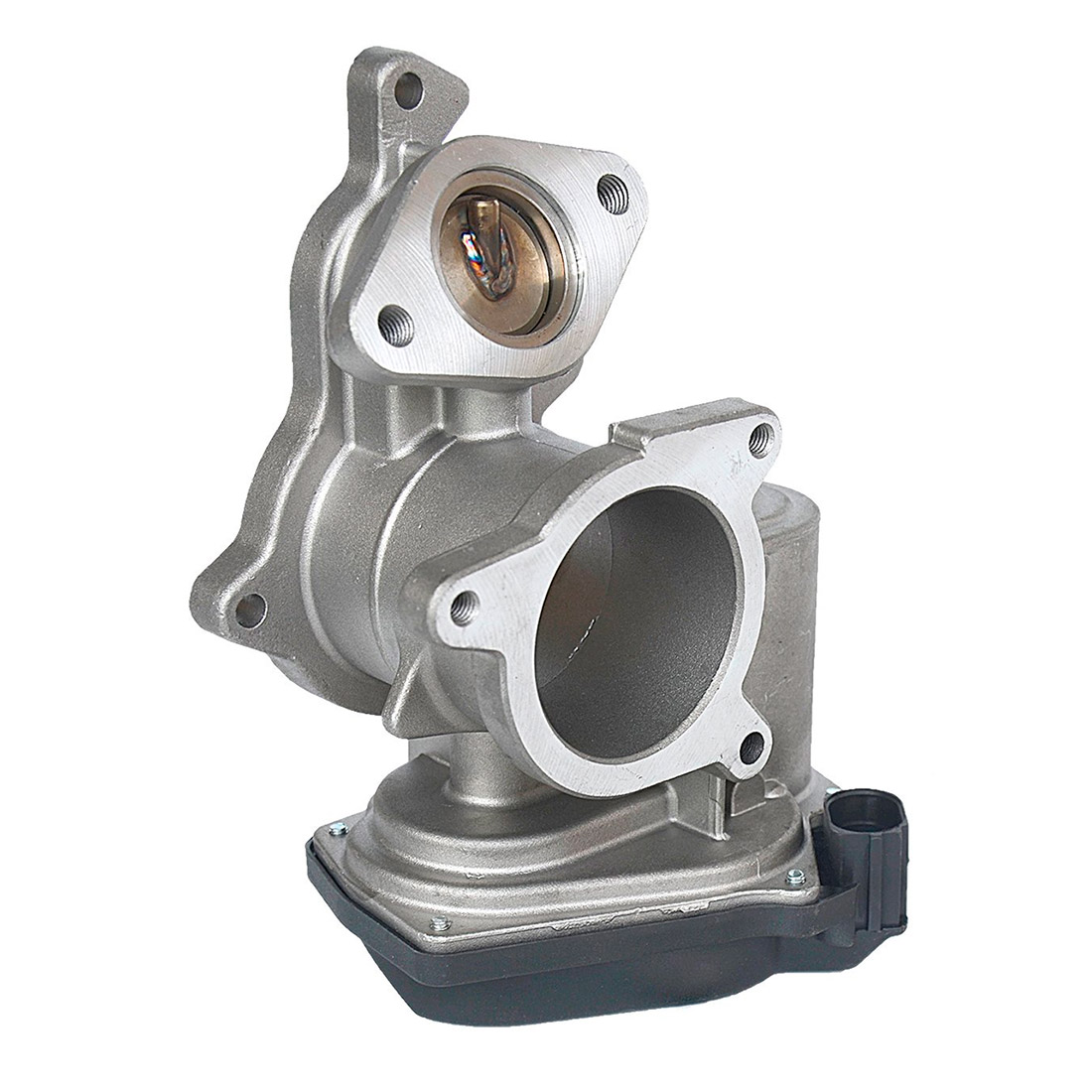 EGR valve, exhaust control