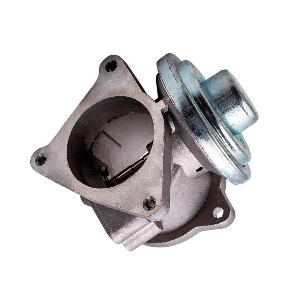 EGR valve, exhaust control