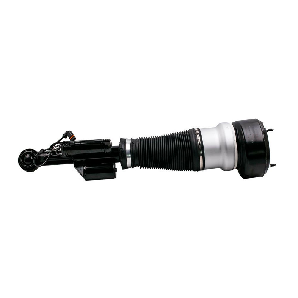 Suspension Strut (CSMCR00401)
