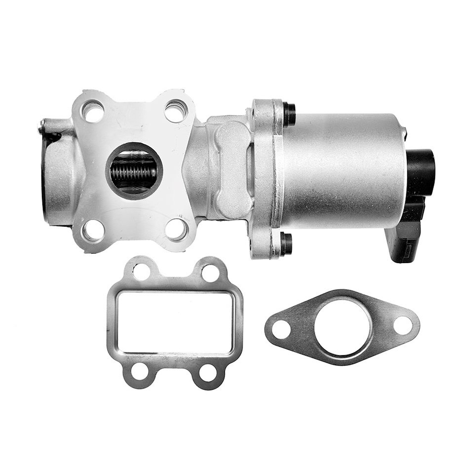 EGR valve, exhaust control