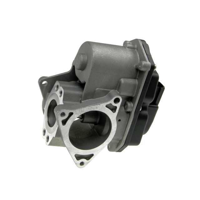 EGR valve, exhaust control