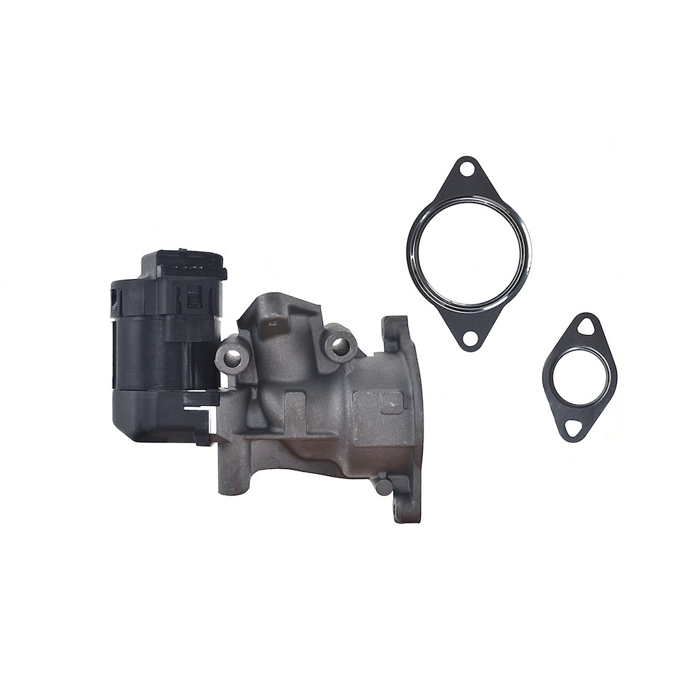 EGR valve, exhaust control