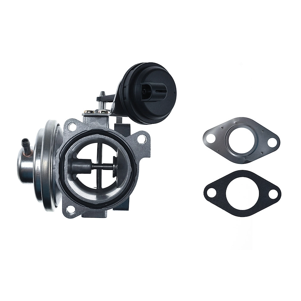 EGR valve, exhaust control