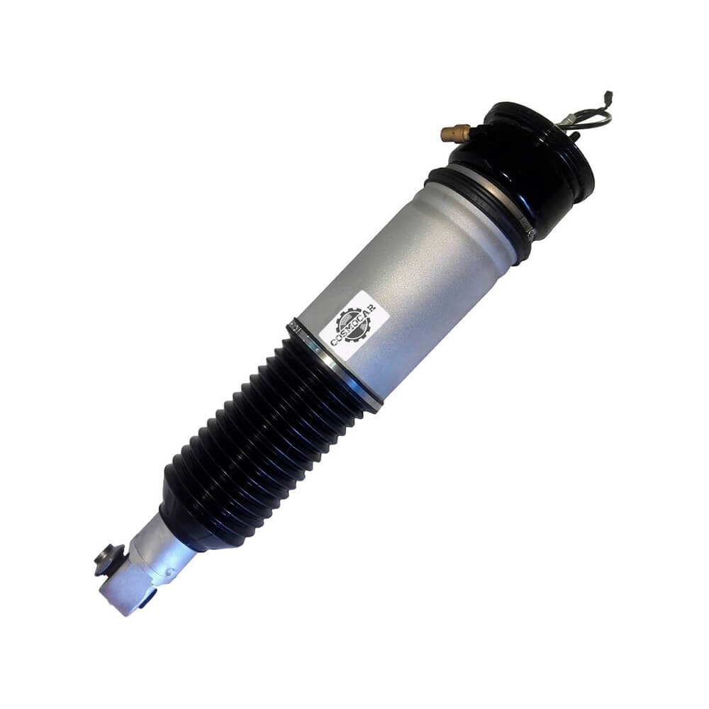 Suspension Strut (CSMCR00952)