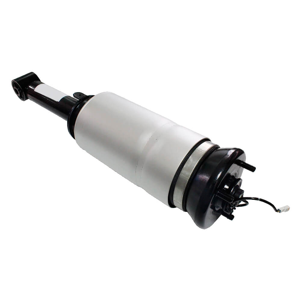 Suspension Strut (CSMCR00997)