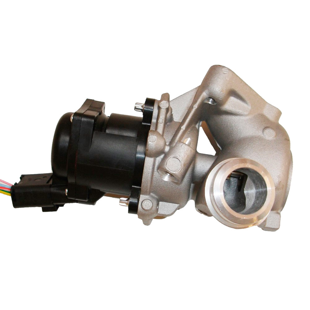EGR valve, exhaust control