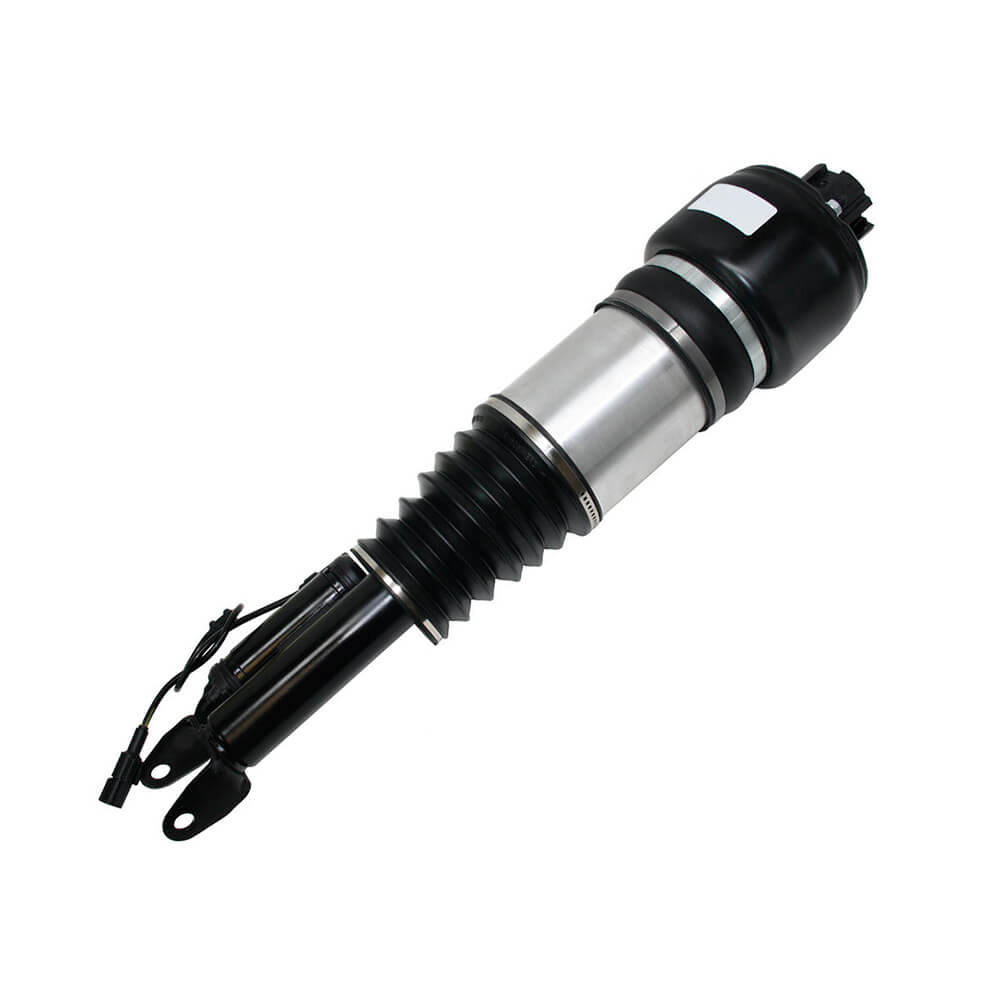 Suspension Strut (CSMCR01041)