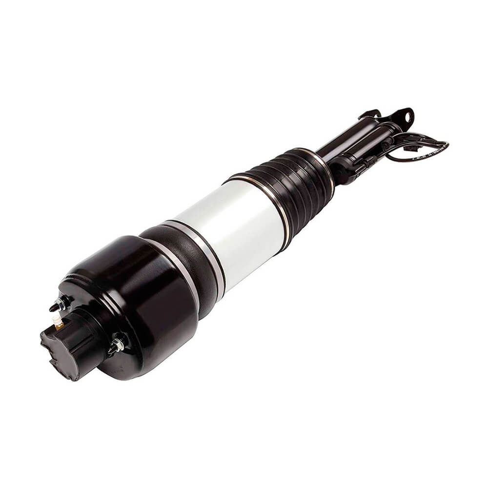 Suspension Strut (CSMCR00820)
