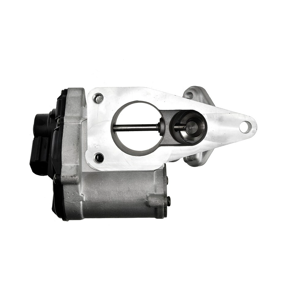 EGR valve, exhaust control