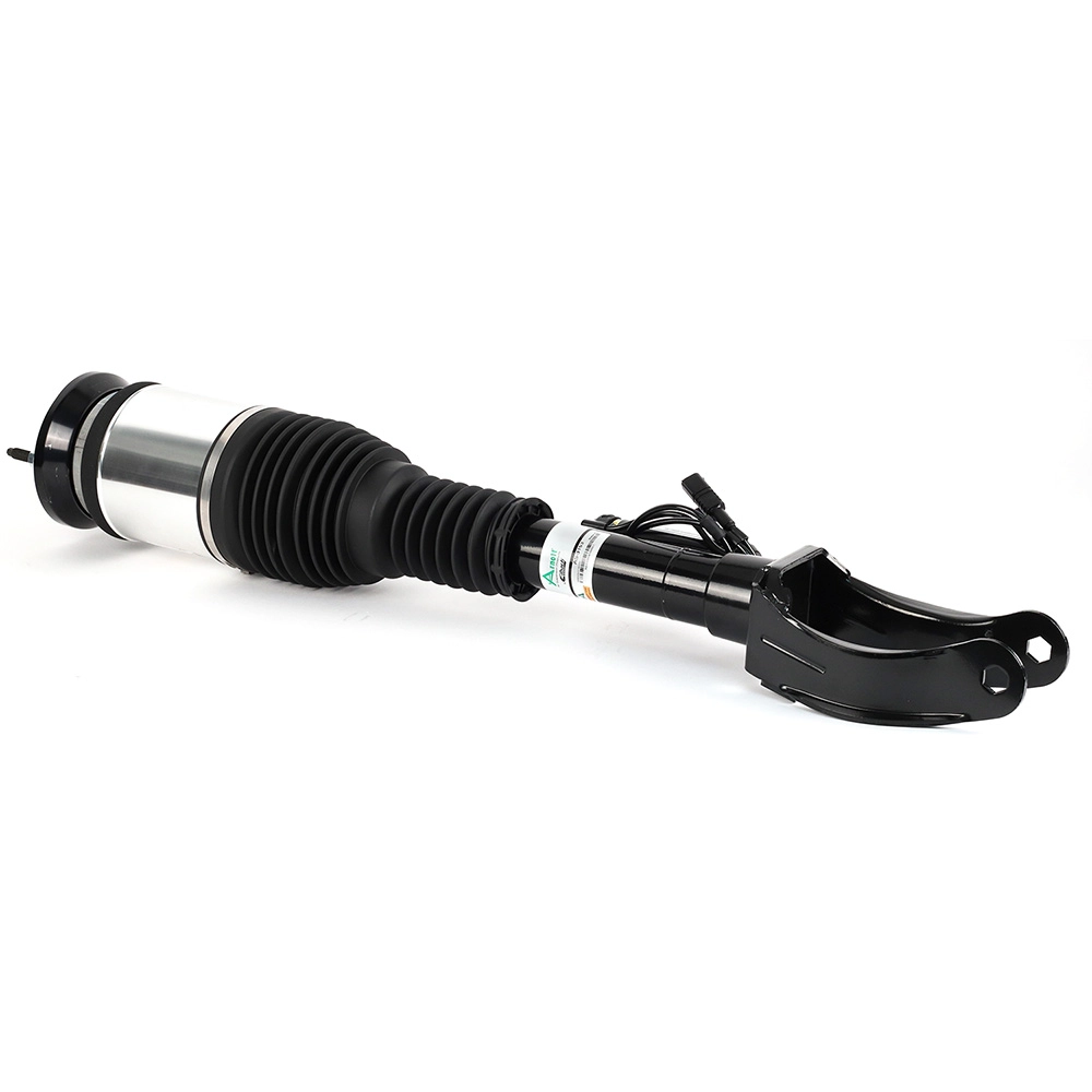 Suspension Strut (CSMCR01102)