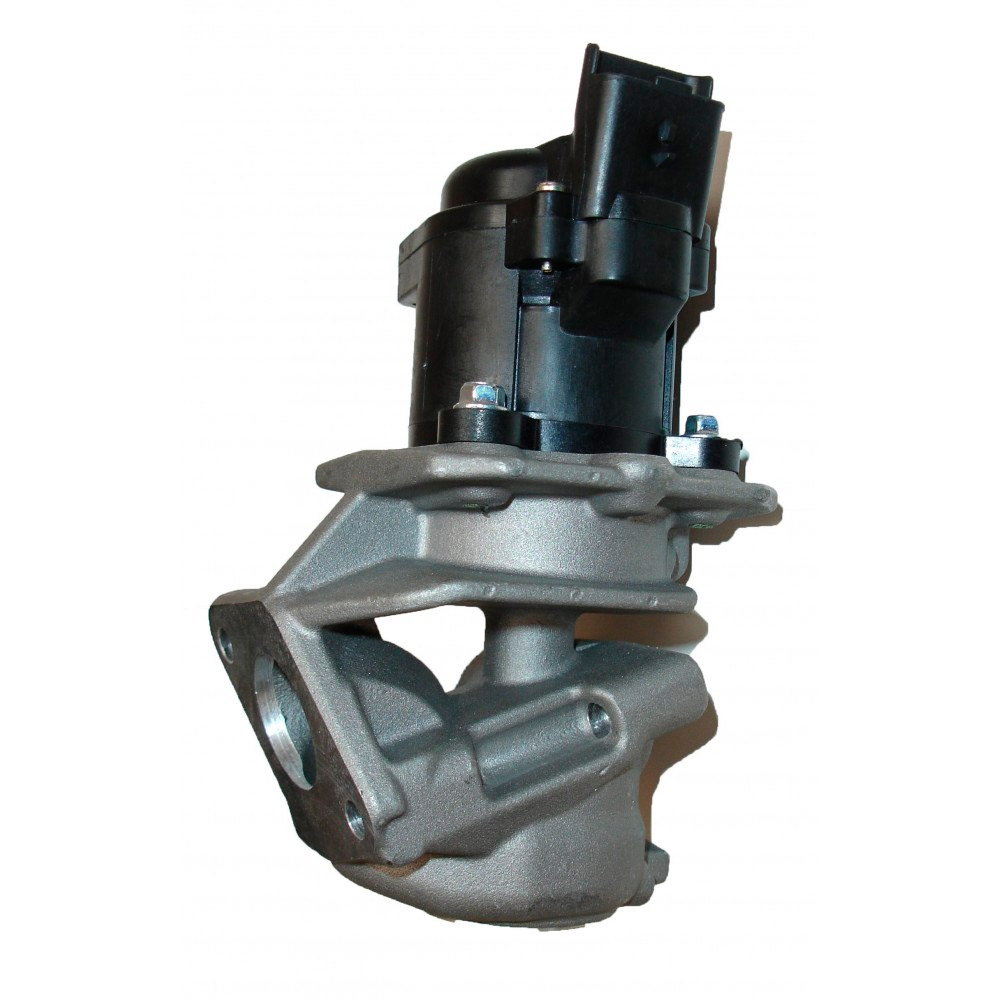 EGR valve, exhaust control