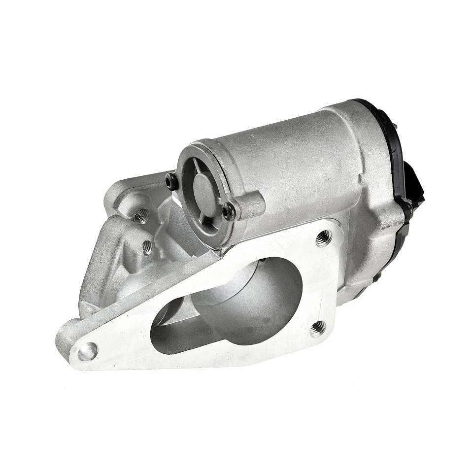 EGR valve, exhaust control
