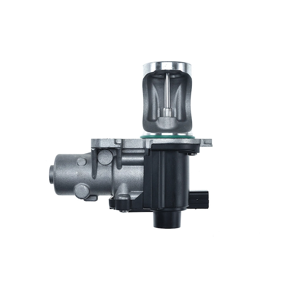 EGR valve, exhaust control