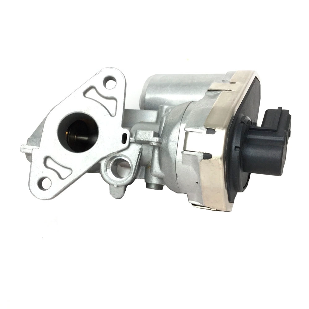 EGR valve, exhaust control