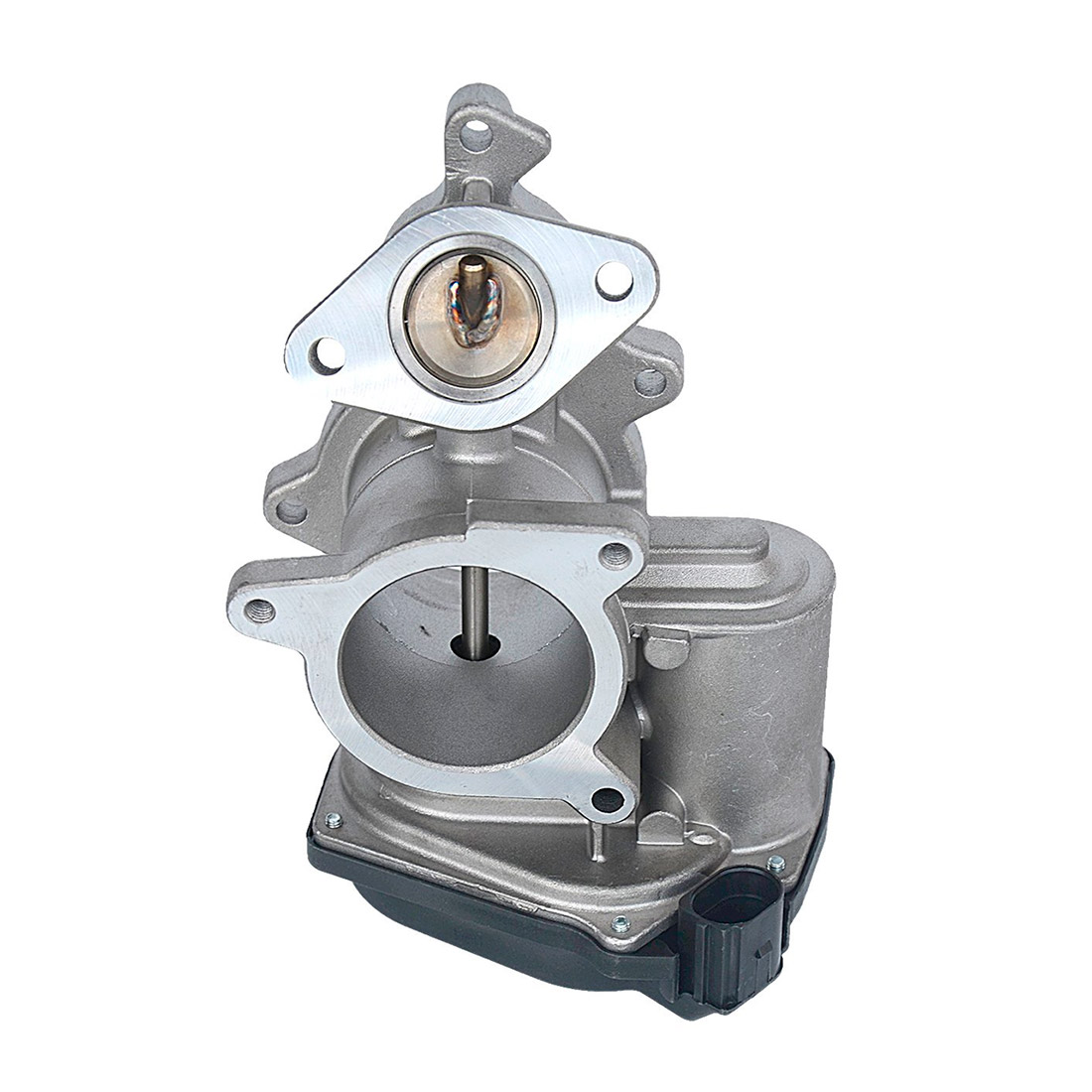 EGR valve, exhaust control