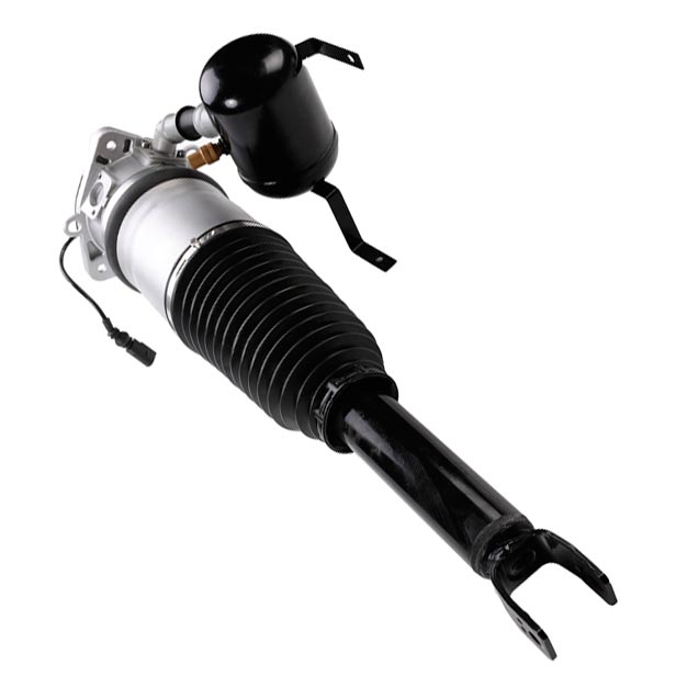 Suspension Strut (CSMCR00293)
