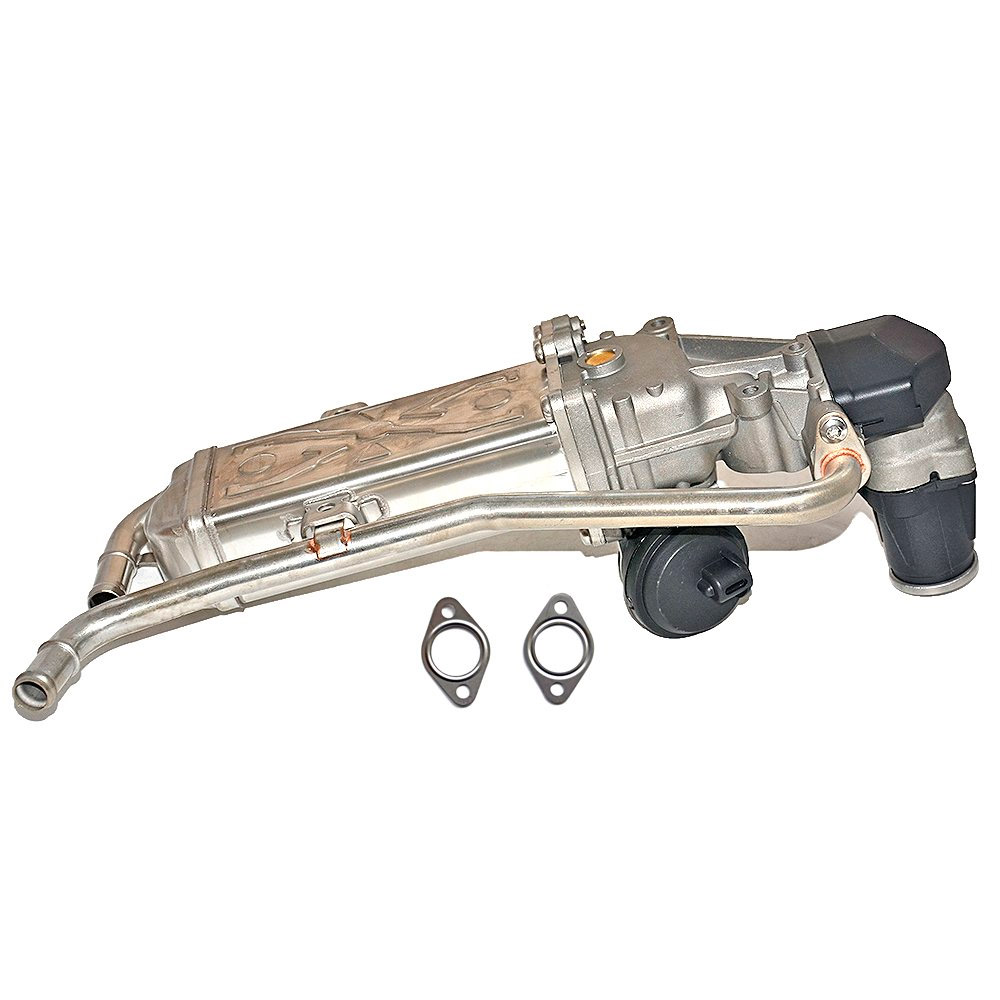 EGR valve, exhaust control