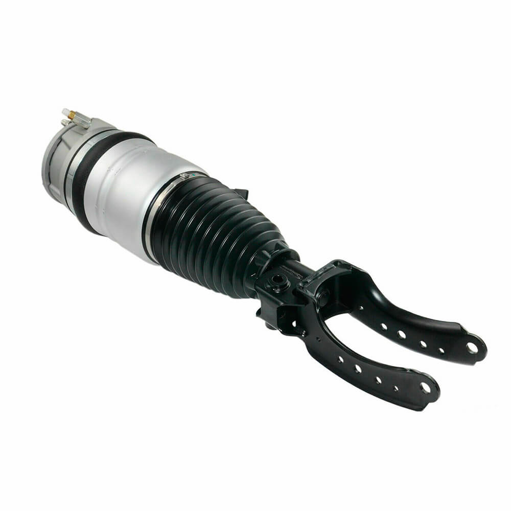 Suspension Strut (CSMCR01083)