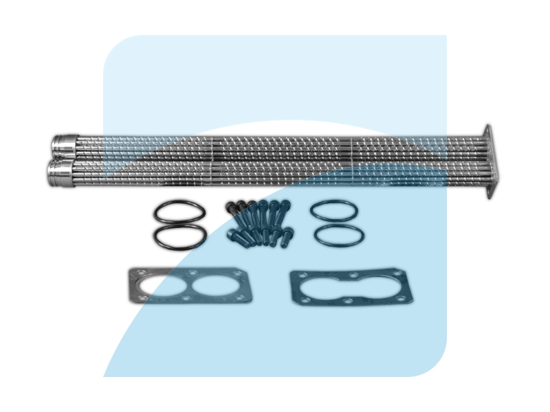 Repair Set, EGR module (29031101)