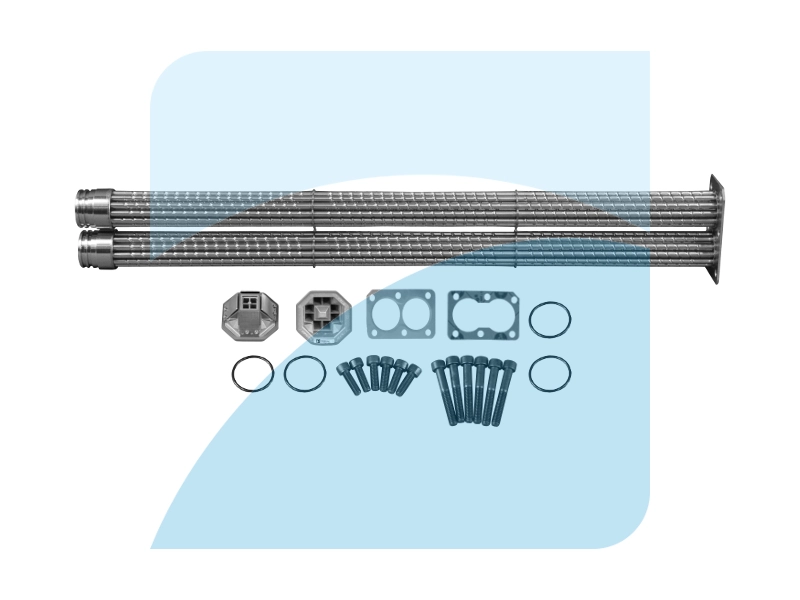 Repair Set, EGR module (29031201)