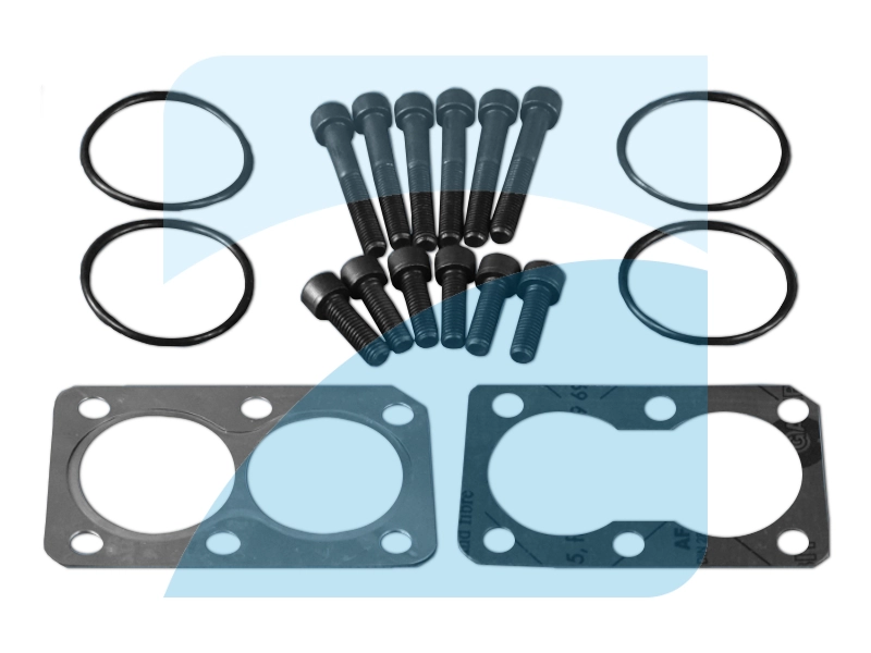 Repair Set, EGR module