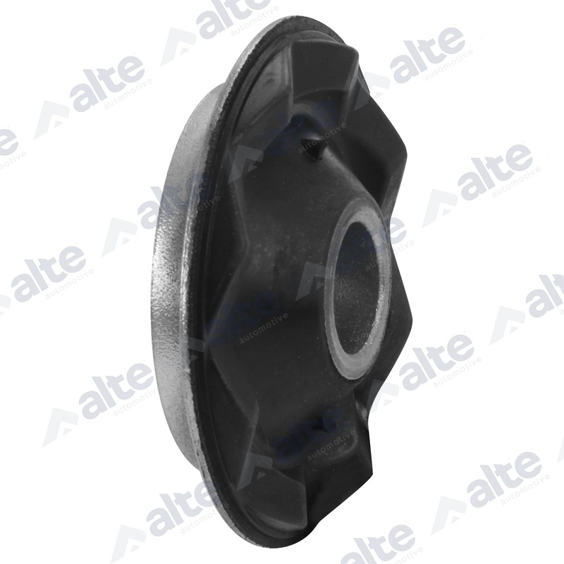 Mounting, control/trailing arm (80121AL)