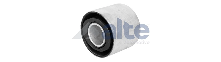 Mounting, control/trailing arm (92173AL)
