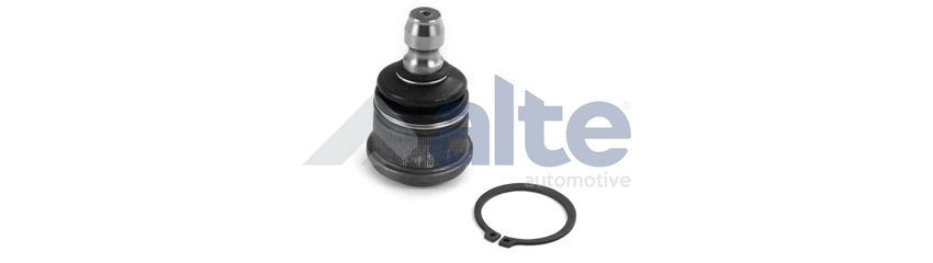 Ball Joint (79073AL)