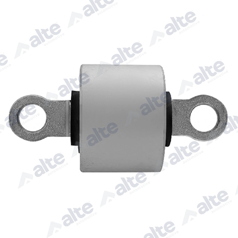 Mounting, control/trailing arm (89942AL)