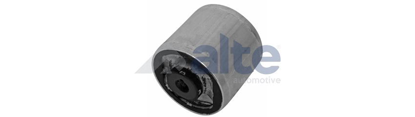 Mounting, control/trailing arm (91258AL)