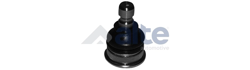 Ball Joint (82873AL)