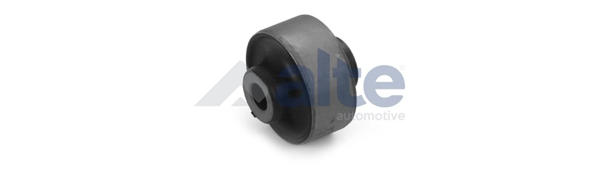 Mounting, control/trailing arm (91999AL)