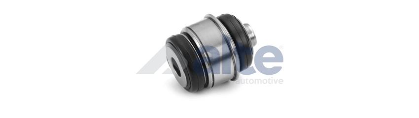 Mounting, control/trailing arm (81088AL)