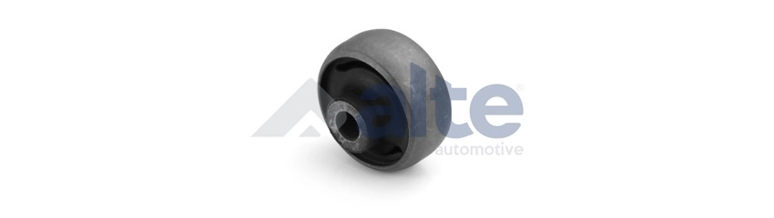 Mounting, control/trailing arm (88213AL)