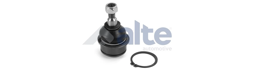 Ball Joint (87923AL)