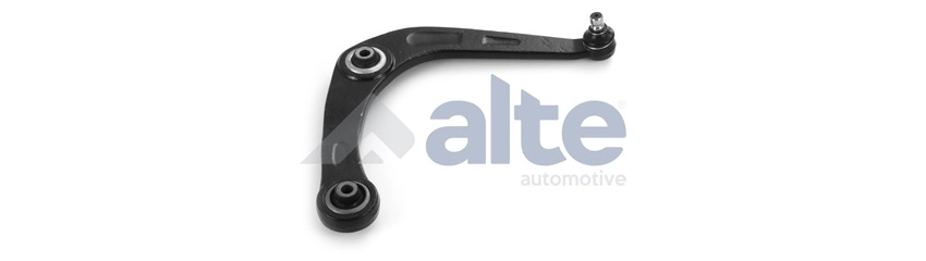 Control/Trailing Arm, wheel suspension (88754AL)
