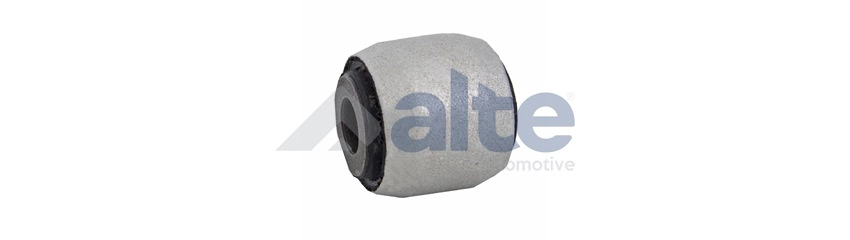 Mounting, control/trailing arm (91194AL)