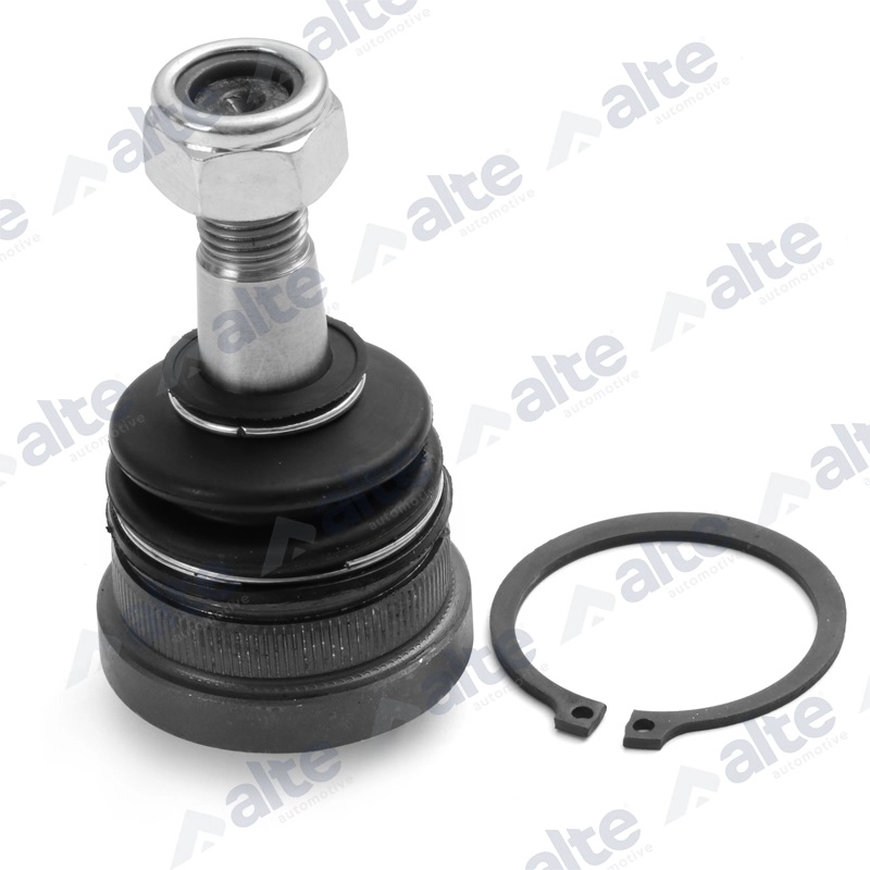 Ball Joint (79218AL)