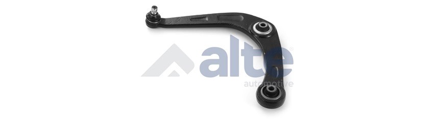 Control/Trailing Arm, wheel suspension (88753AL)