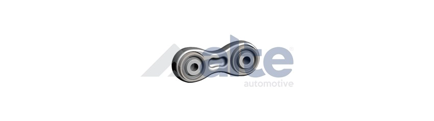 Control/Trailing Arm, wheel suspension (101121EAL)