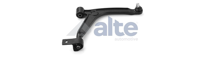 Control/Trailing Arm, wheel suspension (79878AL)