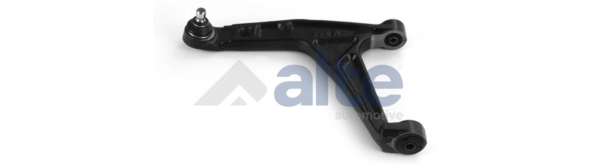Control/Trailing Arm, wheel suspension (79876AL)