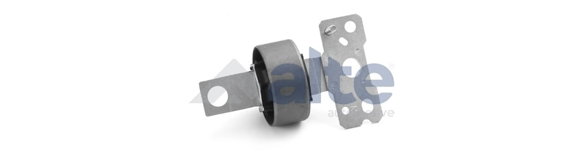 Bushing, axle beam (98129AL)