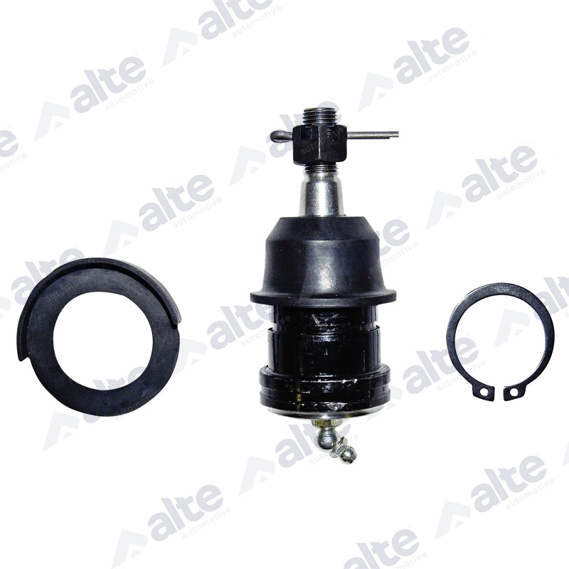 Ball Joint (87113AL)