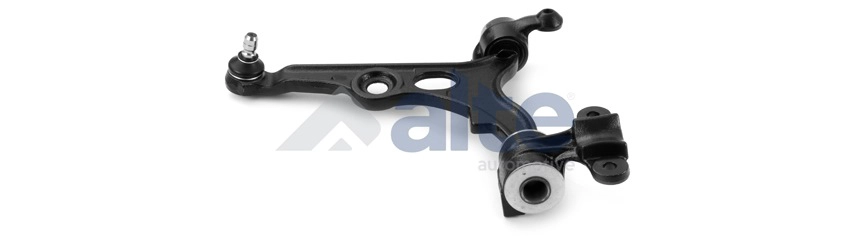 Control/Trailing Arm, wheel suspension (80531AL)
