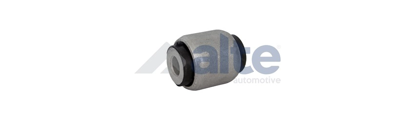 Mounting, control/trailing arm (88956AL)