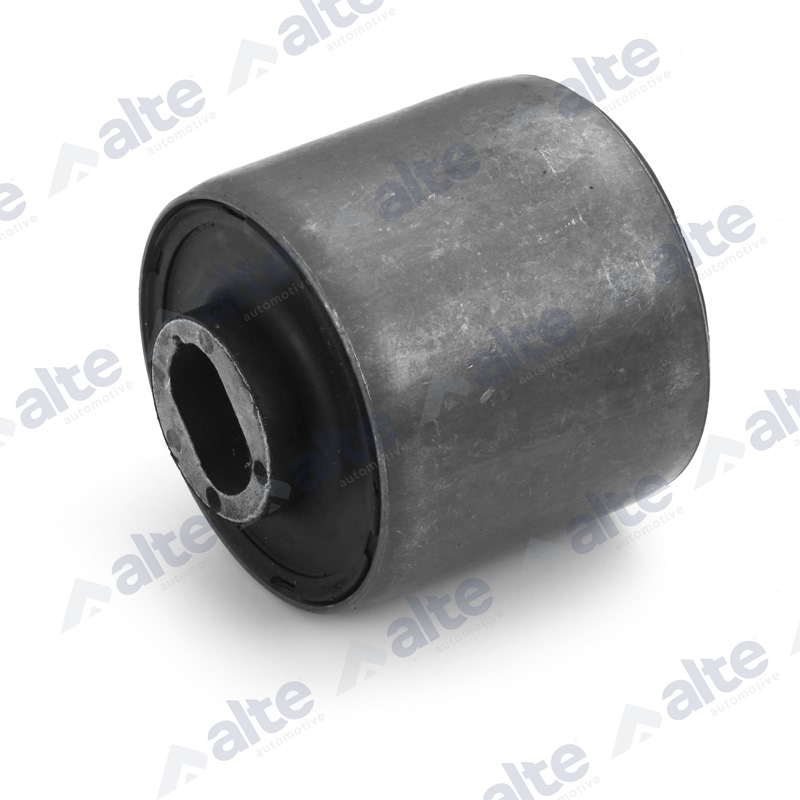 Mounting, control/trailing arm (91026AL)