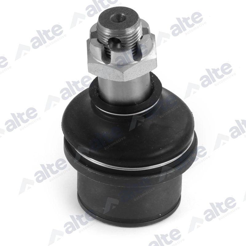Ball Joint (79725AL)