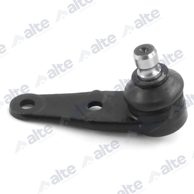 Ball Joint (77800AL)