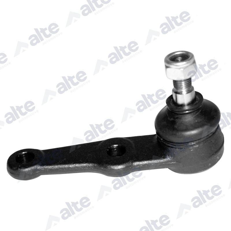 Ball Joint (80079AL)
